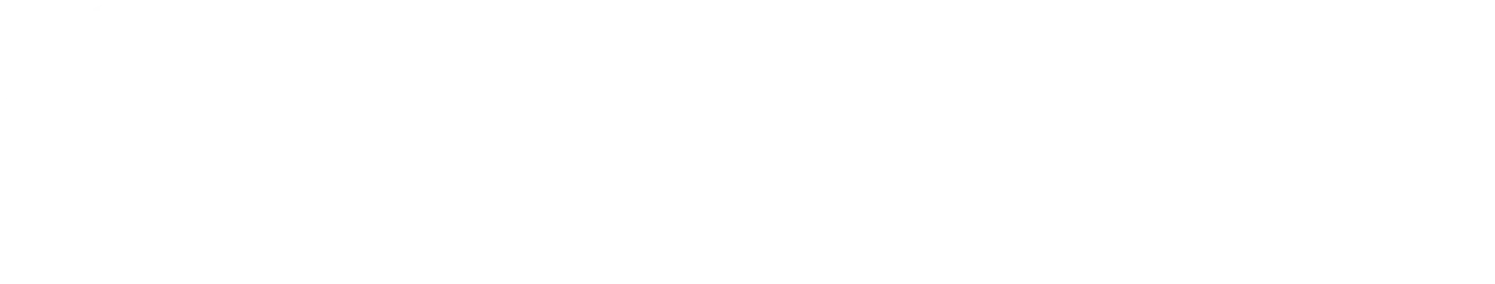 footerLogo